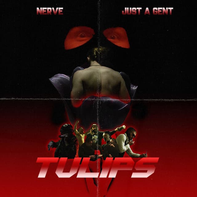 Tulips cover