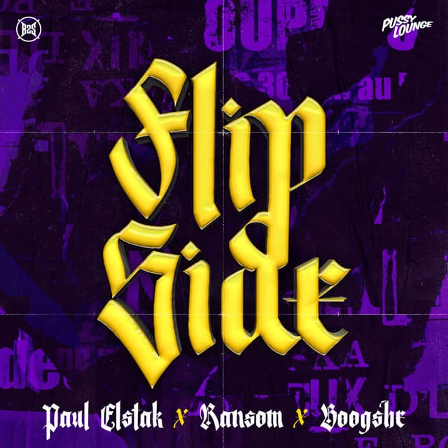 Flipside cover