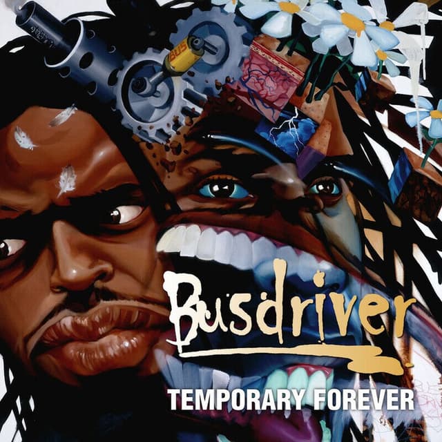 Temporary Forever cover