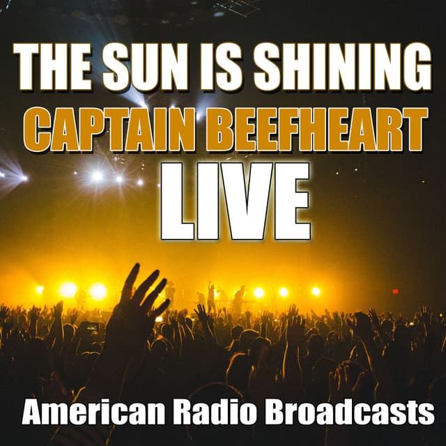 The Sun Is Shining (Live) album cover