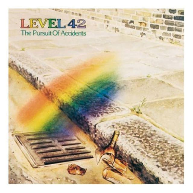 The Pursuit of Accidents cover