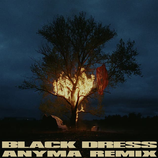 Black Dress (Anyma Remix) cover