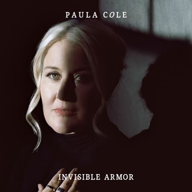 Invisible Armor cover