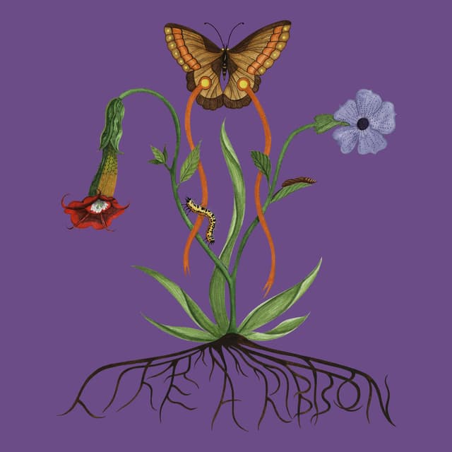 Fly With Me album cover
