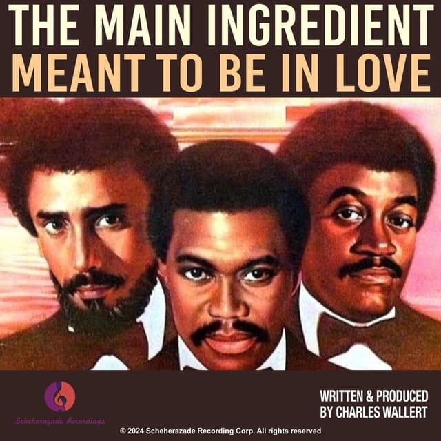 Meant to Be in Love cover