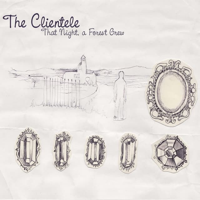 That Night, a Forest Grew album cover