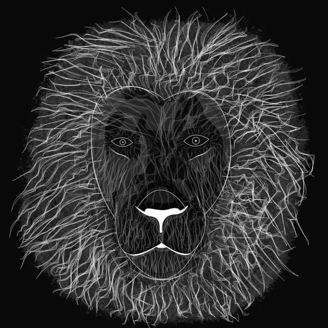 Lion cover