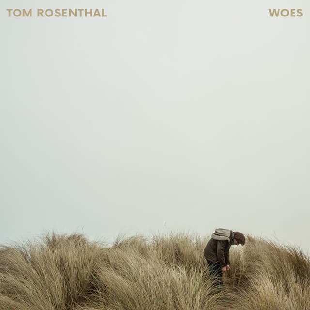 Woes cover