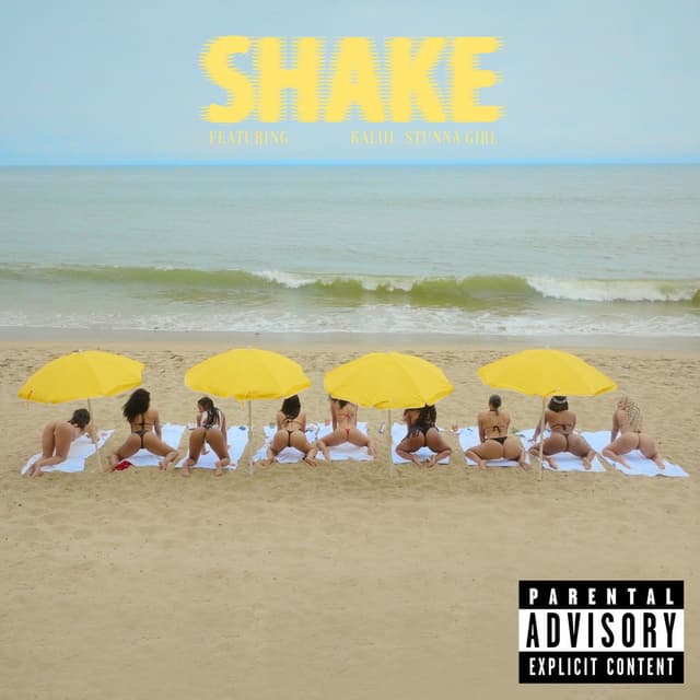 SHAKE cover