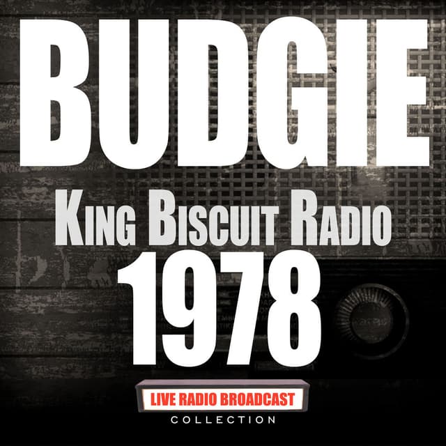 King Biscuit Radio 1978 (Live) cover