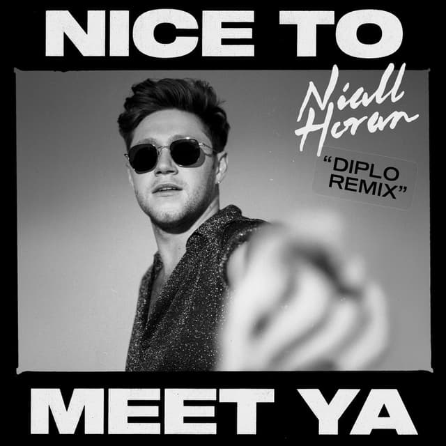 Nice To Meet Ya (Diplo Remix) cover