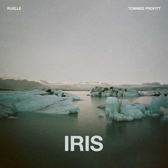 Iris cover
