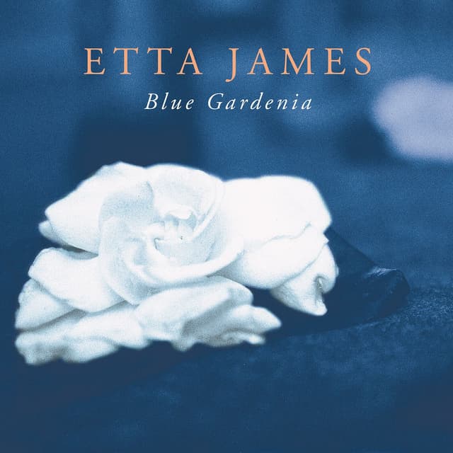 Blue Gardenia cover