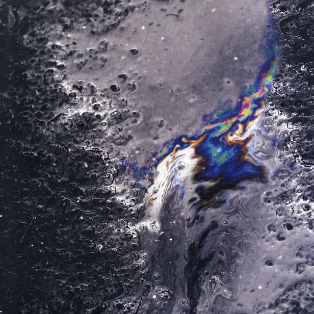 Black Rainbows cover