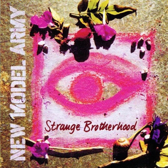 Strange Brotherhood cover
