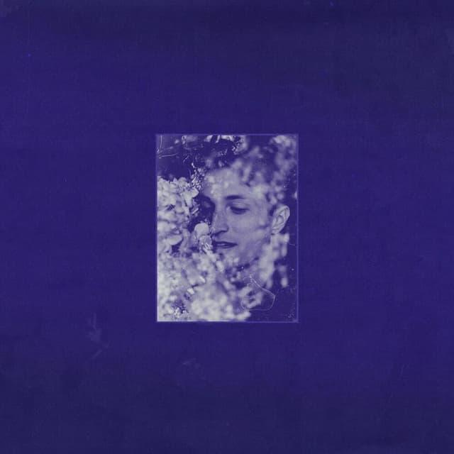 indigo cover