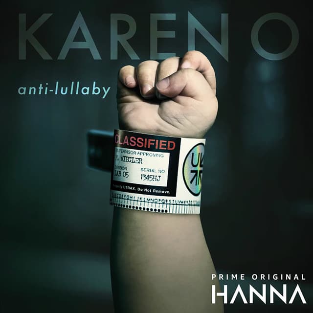 Anti-Lullaby (From “Hanna”) cover