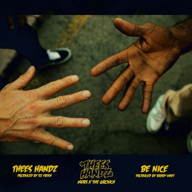 Thees Handz cover