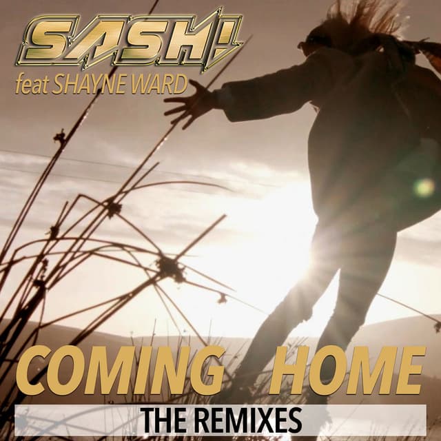 Coming Home (The Remixes) cover