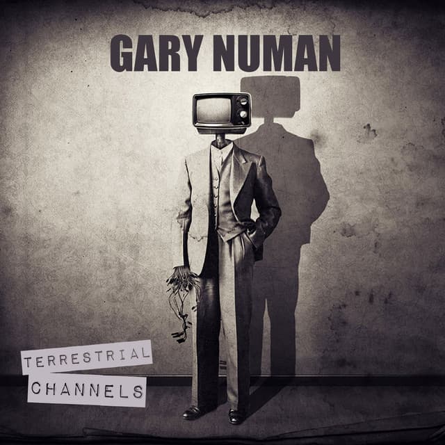 Terrestrial Channels cover