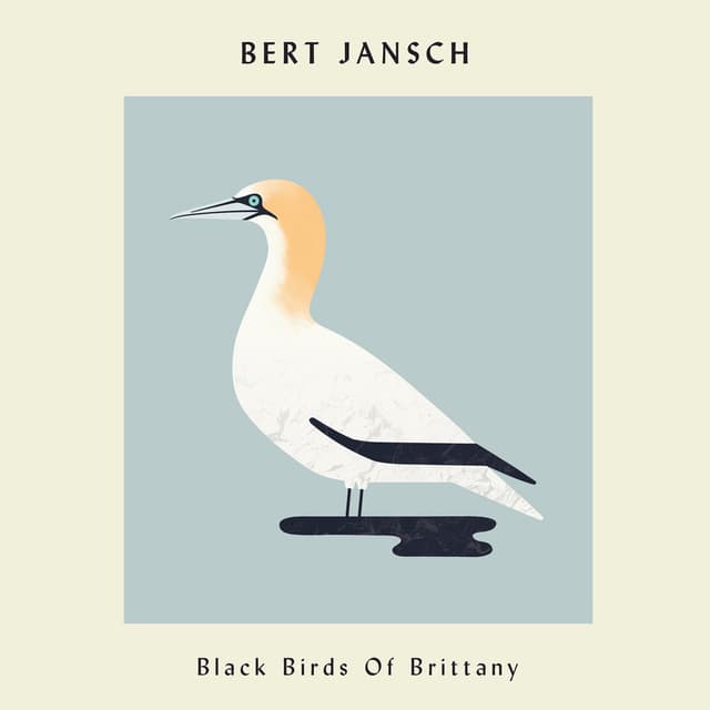 Black Birds of Brittany cover