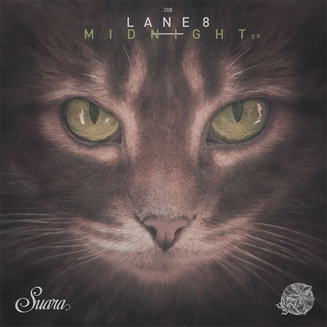 Midnight cover