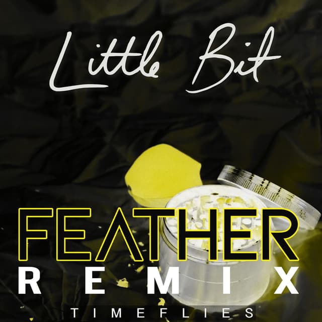 Little Bit (Feather Remix) cover
