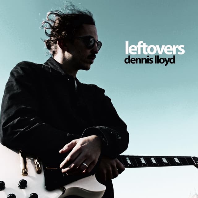 Leftovers cover