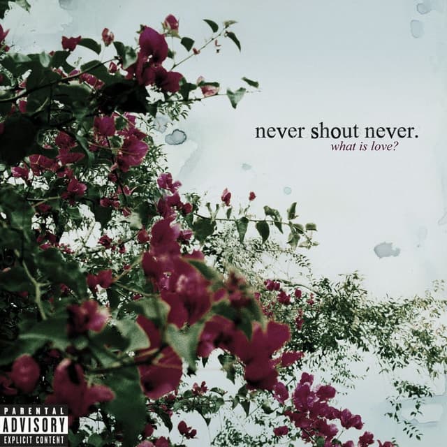 What Is Love album cover