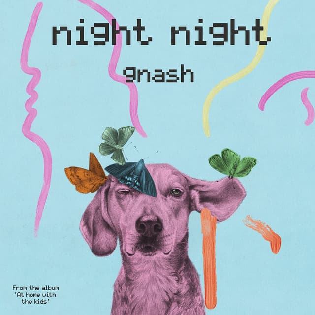 night night cover