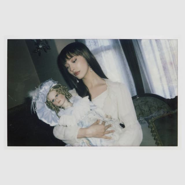 Porcelain cover