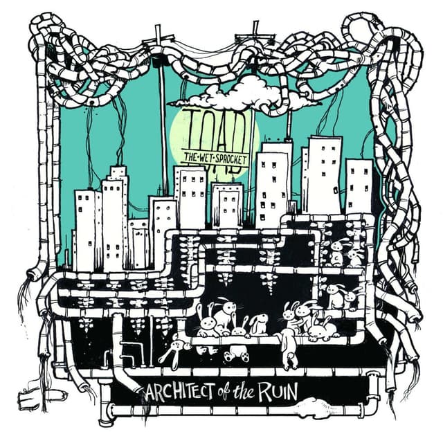 Architect of the Ruin cover