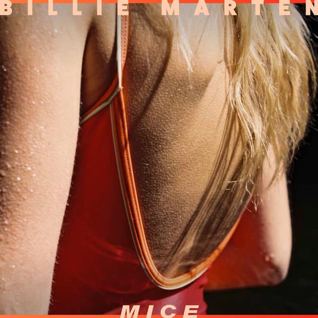 Mice cover