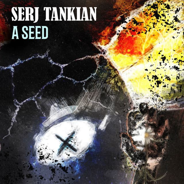 A Seed cover