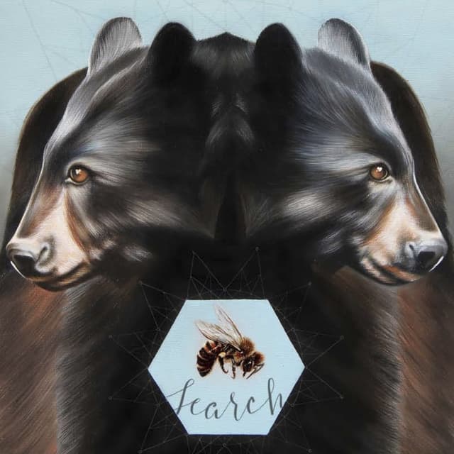 Two Bears cover