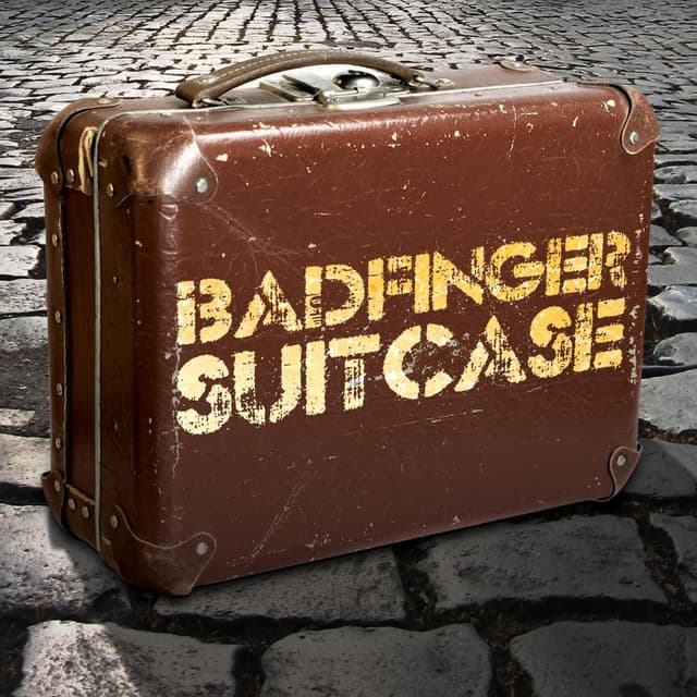 Suitcase (Re-recording) cover