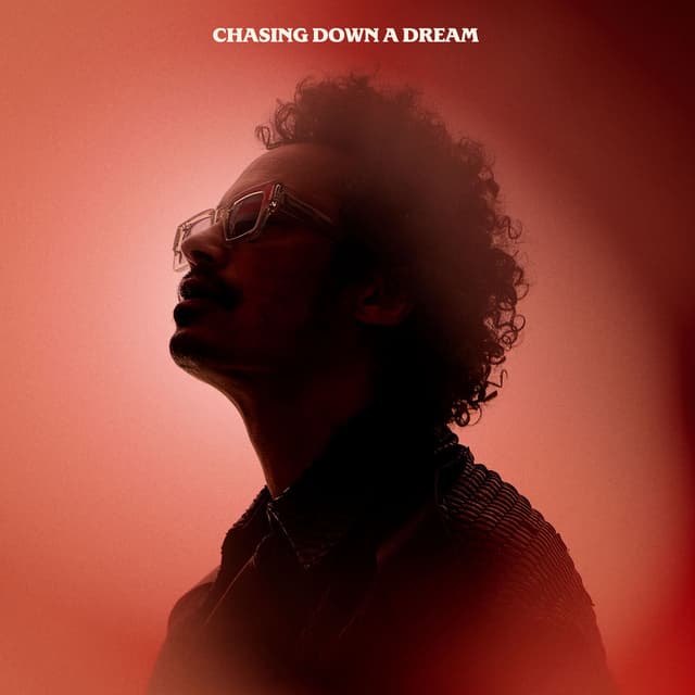 Chasing Down A Dream album cover