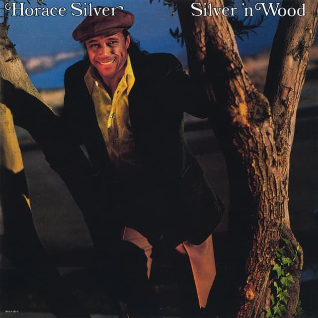 Silver 'N Wood cover