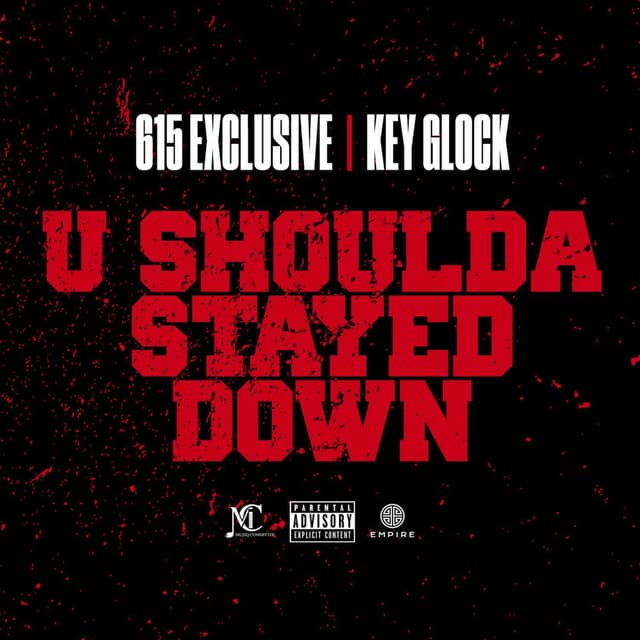 U Shoulda Stayed Down cover