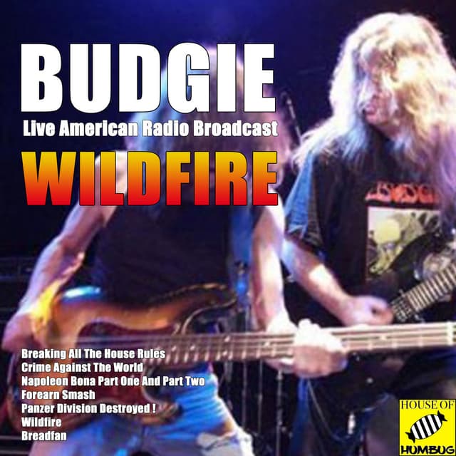 Wildfire (Live) cover
