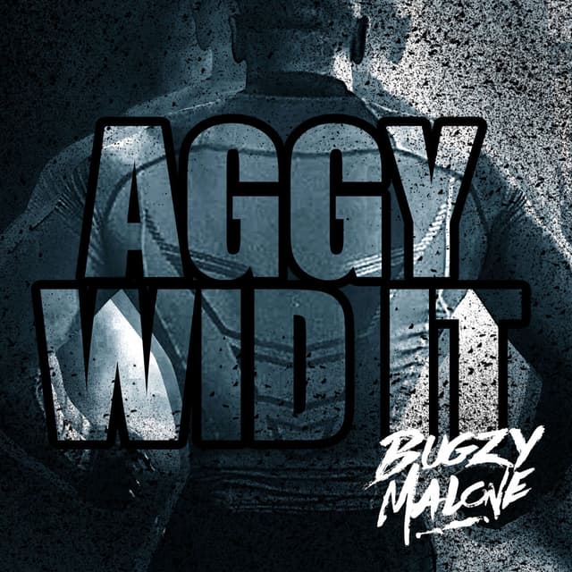 Aggy Wid It cover