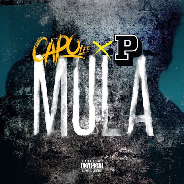 Mula cover