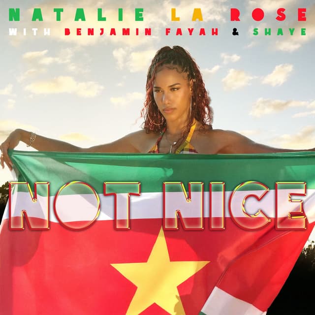 NOT NICE cover