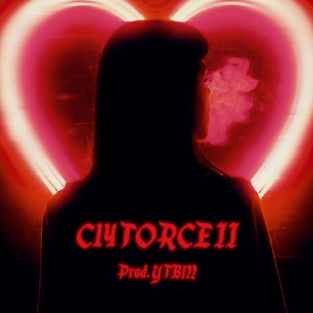 C14TORCE II cover