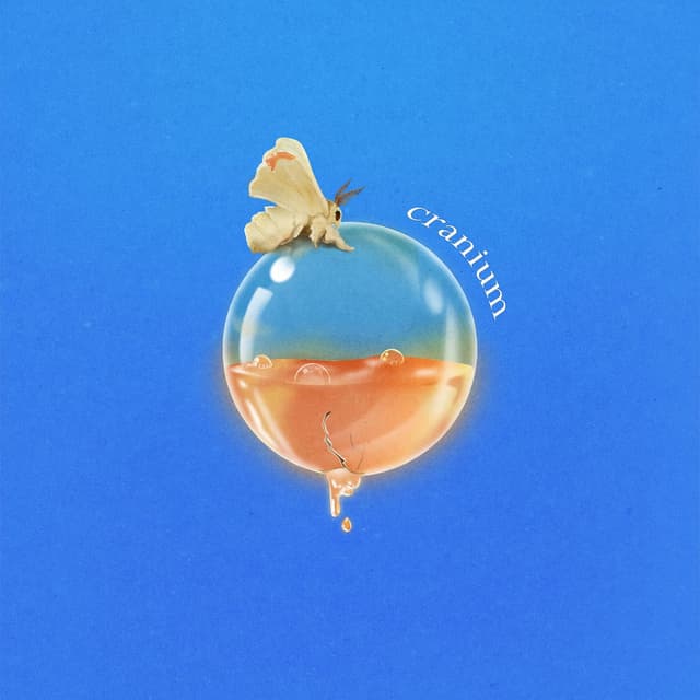 Cranium cover