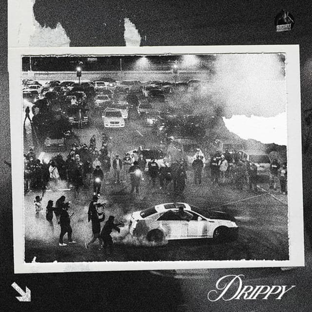 Drippy cover