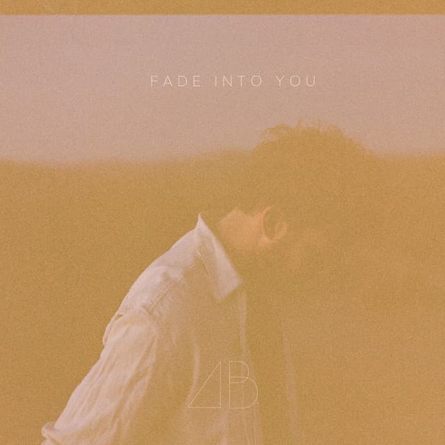 Fade into You cover
