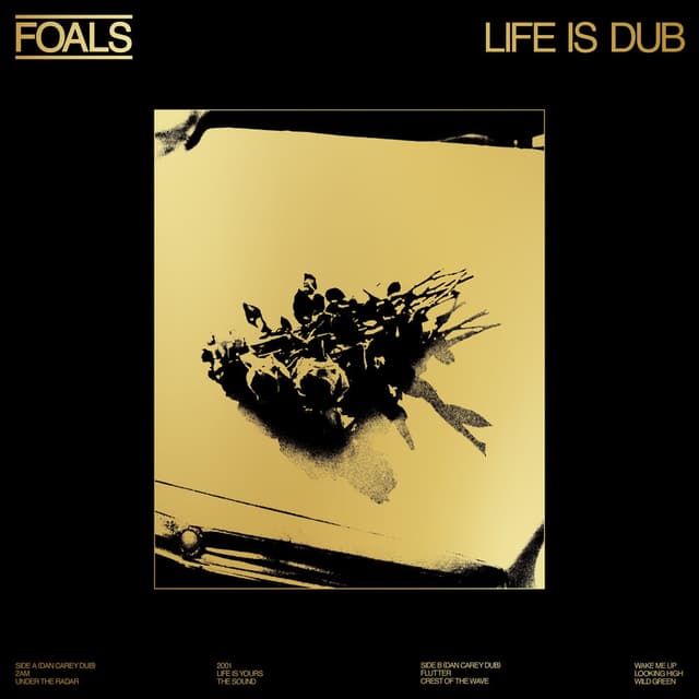 Life Is Dub cover