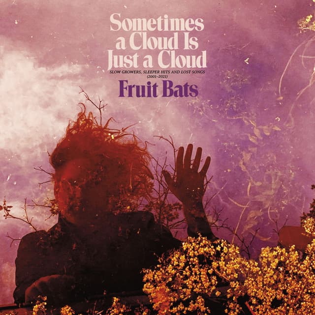 Sometimes a Cloud Is Just a Cloud: Slow Growers, Sleeper Hits and Lost Songs (2001–2021) cover