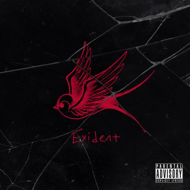 Exident cover
